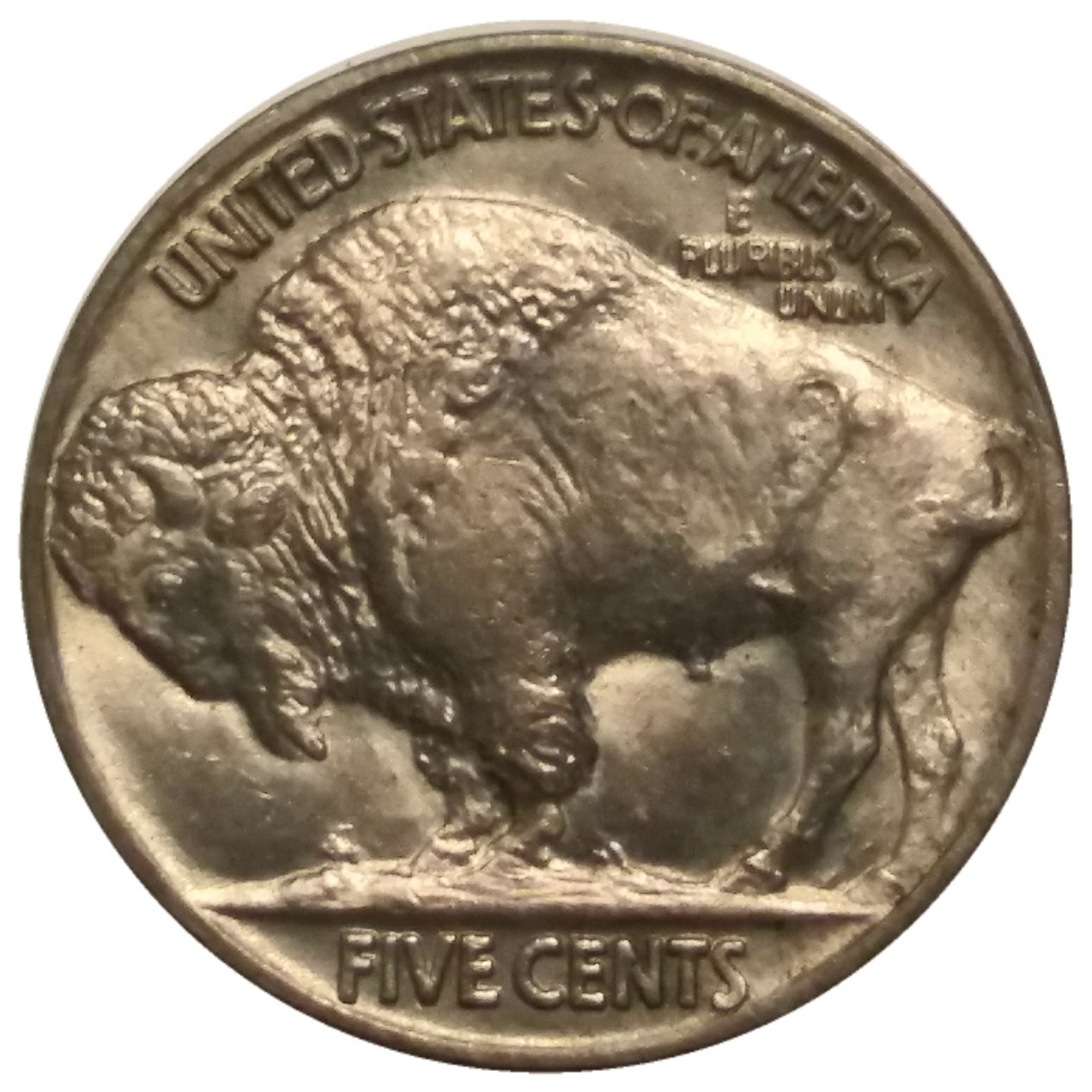1913-5c-T2-Buffalo-Nickel-#3